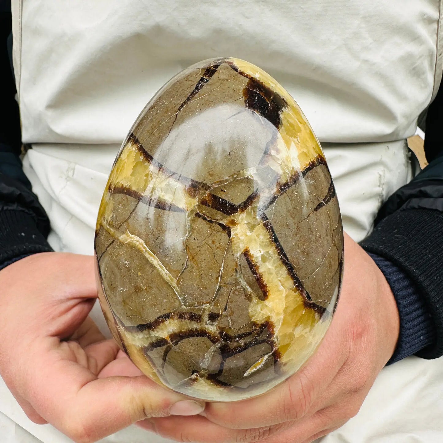 Natural Dragon Septarian Quartz Crystal Egg Healing Geodetic Survey Mineral Specimen