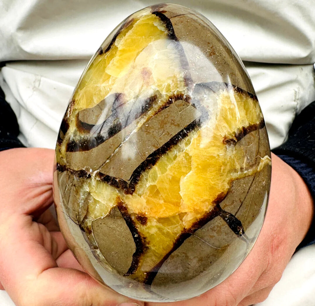 Natural Dragon Septarian Quartz Crystal Egg Healing Geodetic Survey Mineral Specimen