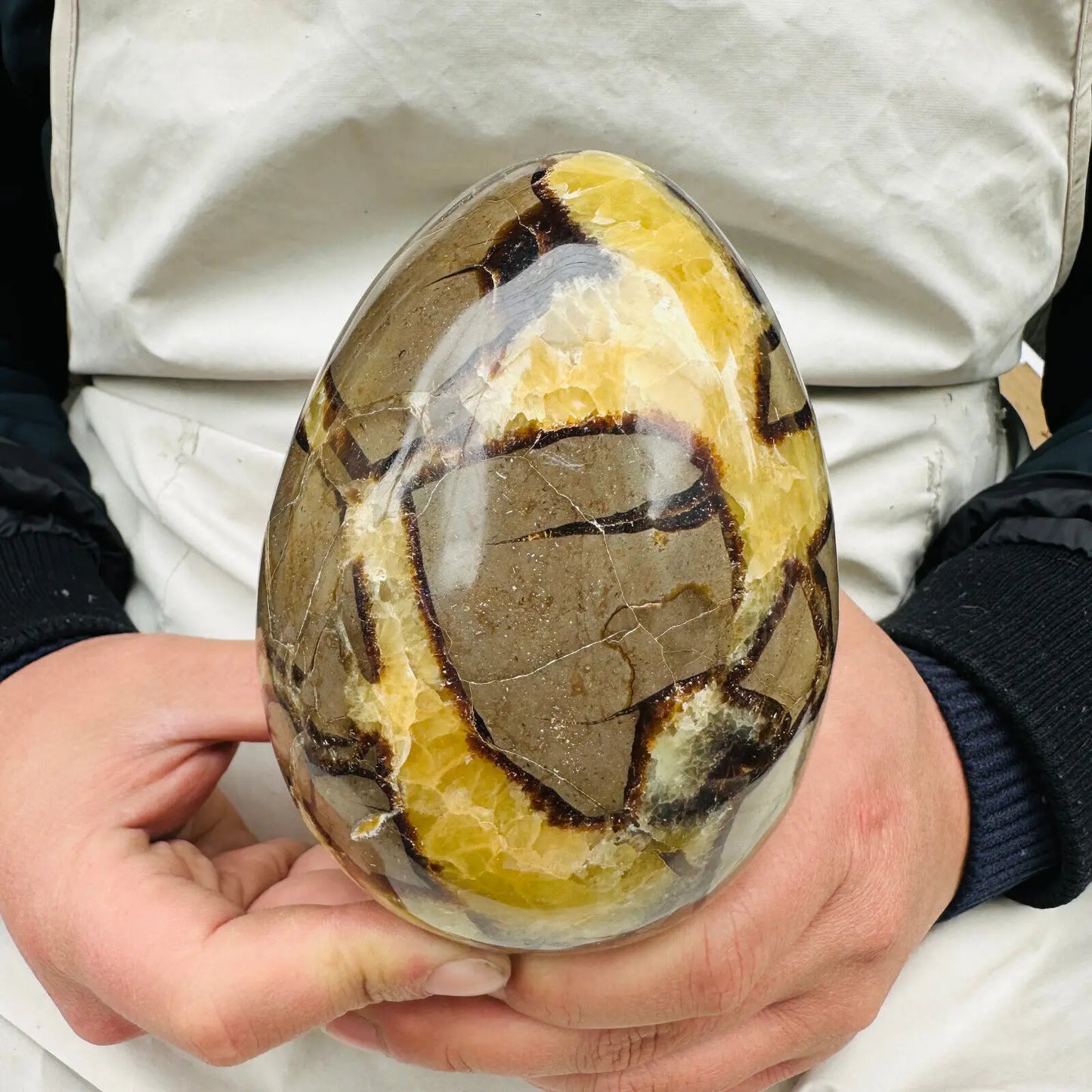 Natural Dragon Septarian Quartz Crystal Egg Healing Geodetic Survey Mineral Specimen