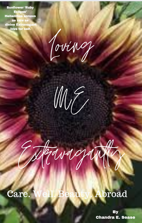 Loving ME Extravagantly ebook