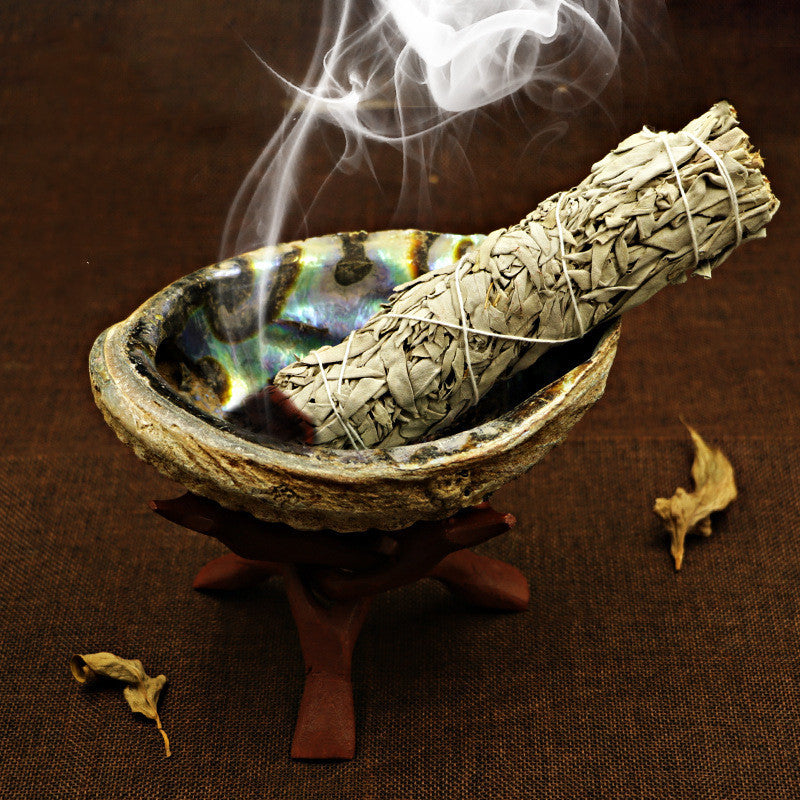 White Sage Smoked Accessories Shell  Holy Wood Bracket Props Smoke For Inventory Incense Burner