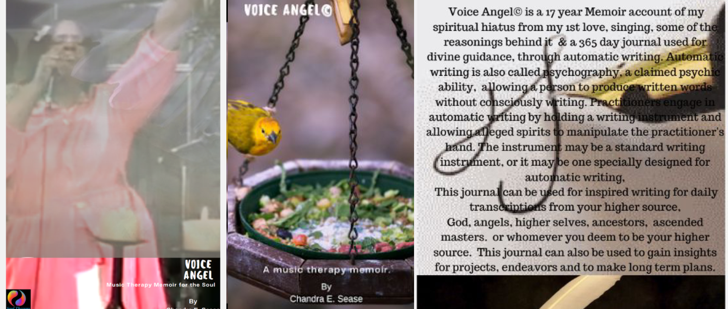 Voice Angel Memoir